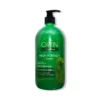 Shampoo Ortin Aceite Menta La Cooper 1LT